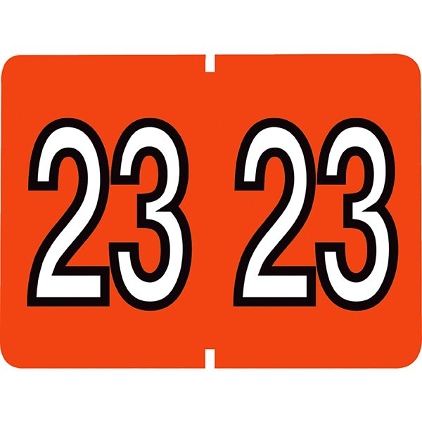 Pendaflex® 2024 Year Labels
